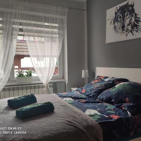 Apartament Tygrys Закопане Екстериор снимка