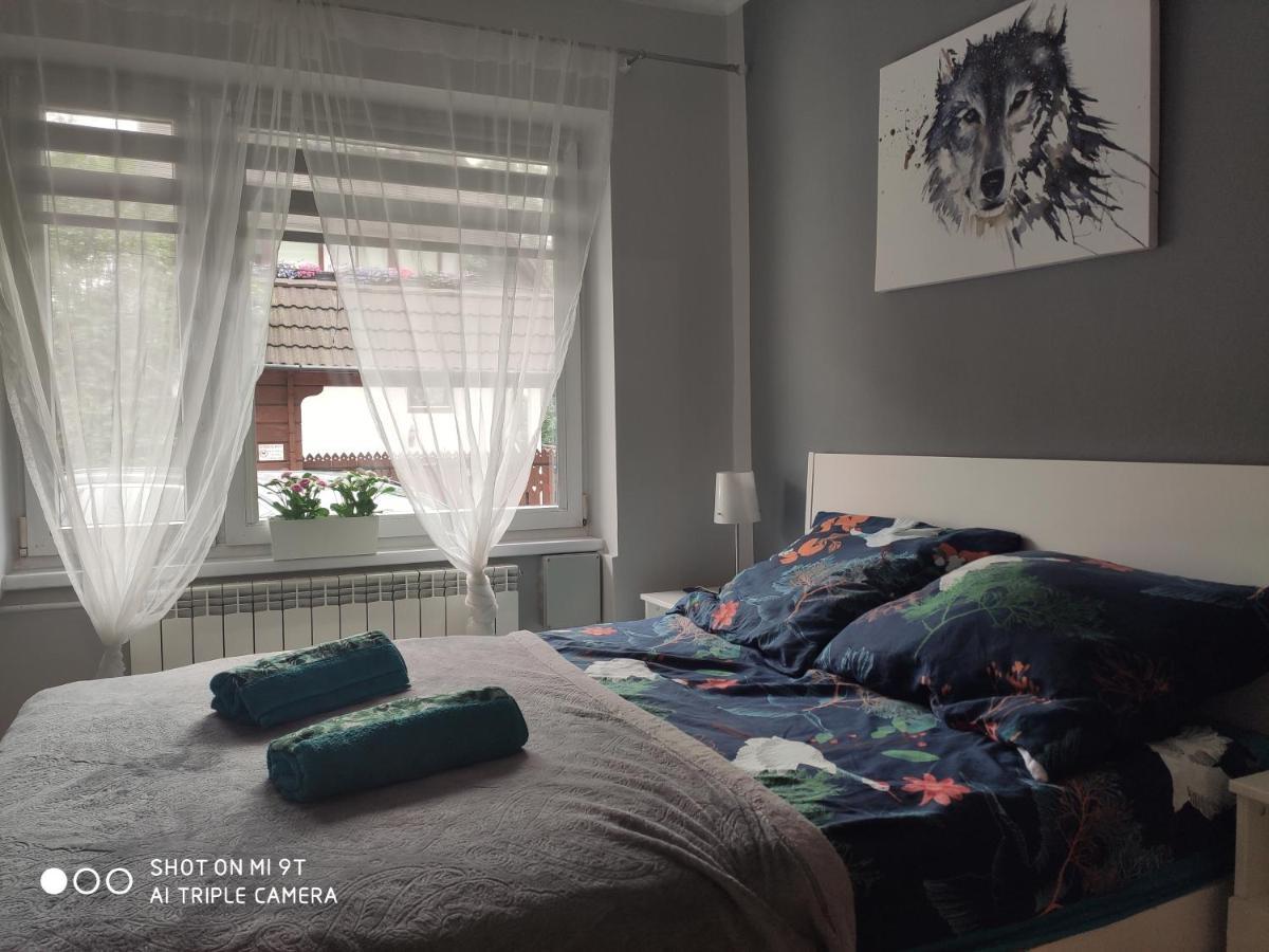 Apartament Tygrys Закопане Екстериор снимка
