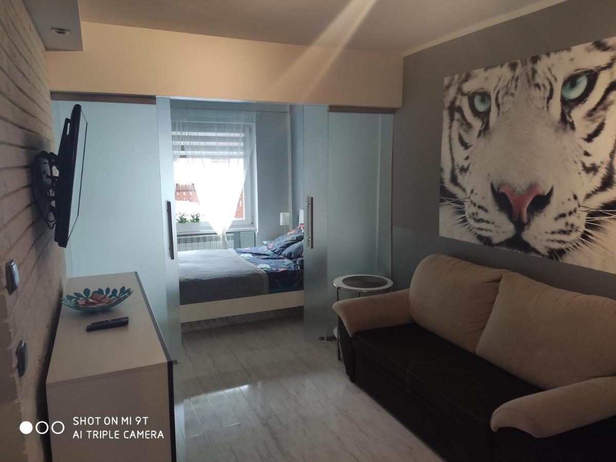Apartament Tygrys Закопане Екстериор снимка